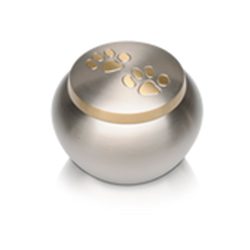 Urna Skall R$ 210,00